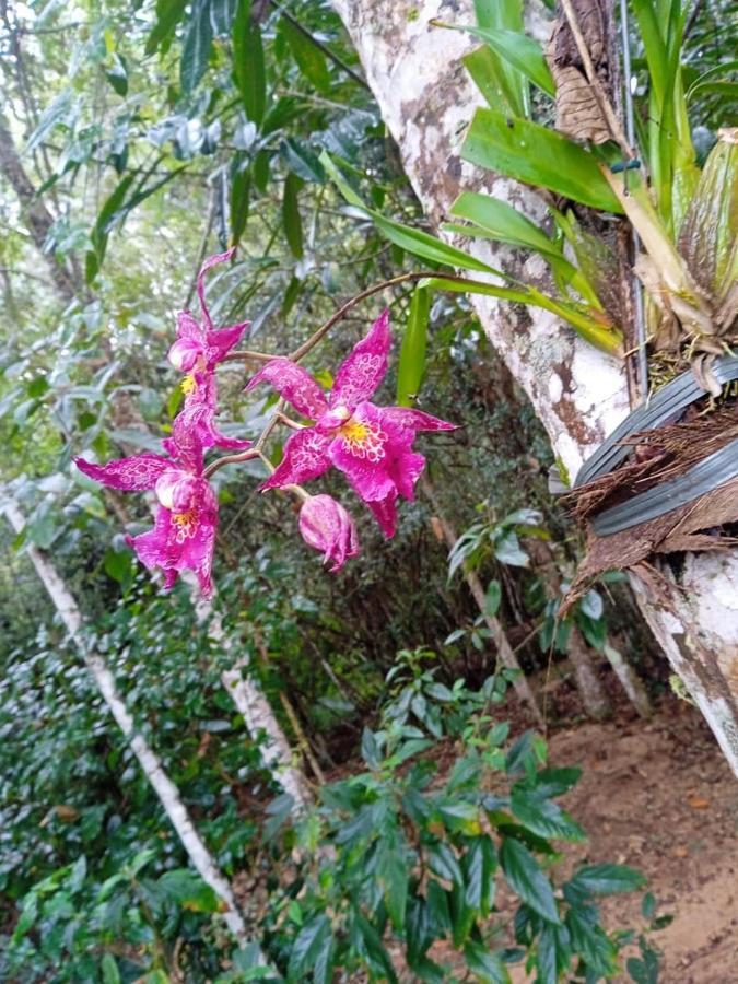 Casa De Campo Banheira, Lareira E Cachoeira Pedra Azul  Bagian luar foto